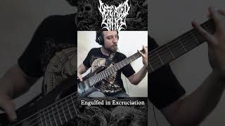 DEFEATED SANITY  Bass 💀 shorts metal brutal death deathmetalclassics bassguitar grind [upl. by Mckay583]