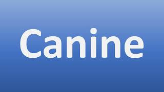 How to Pronounce Canine [upl. by Eittel]