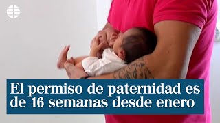 El permiso de paternidad durará 16 semanas a partir de enero [upl. by Rancell532]