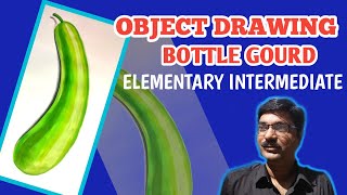 How to make Bottle Gourd Object Drawing for Elementary and Intermediate Exams [upl. by Raynah134]