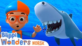 Haitenner  Blippi Wonders Norske  tegneserier for barn  Pedagogiske videoer [upl. by Otilegna]