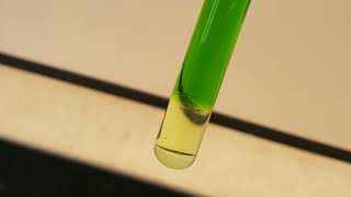 Isolation of chlorophyll and carotenoid pigments from spinach [upl. by Ahsema]