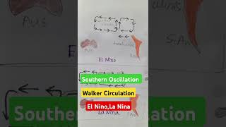 Southern Oscillation Walker Circulation amp El Nino La NinaClimatologyviralvideo shorts short [upl. by Abbottson813]