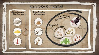 WAT IS EEN ECOSYSTEEM  Ordening Basisstof Biologie Havo  Vwo [upl. by Rizas]