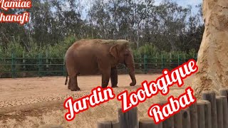 partie 3 de jardin Zoologique de rabat ✌💜🌺الجزء التالت🔴🔴 من حديقة الحيوانات في مدينة الرباط [upl. by Suvart]