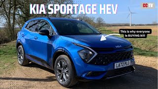 The KIA SPORTAGE is INSANELY Popular  Here are the REASONS WHY [upl. by Janis]