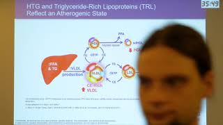 Hypertriglyceridemia in diabetes etiology and management [upl. by Ativahs]