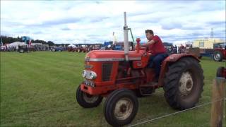 Nairn Show Kinnudie Farm Auldearn 30072016 Vintage Tractor Display [upl. by Weibel]