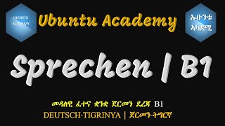 B1  Sprechen  Prüfungstraining [upl. by Ajram894]