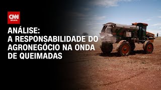 Análise A responsabilidade do agronegócio na onda de queimadas  WW [upl. by Sievert]