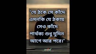 পার্থক্য শুধু সময়ের।shorts quotes inspirationalquotes 1second [upl. by Anthony]