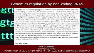 BtBs Seminar by Piero Carninci Human Technopole  Genomics regulation by noncoding RNAs [upl. by Nnahsal]