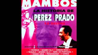 PEREZ PRADO  ♫♫ GRANDES EXITOS ♫♫ [upl. by Annorah444]