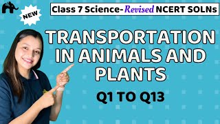 Transportation in Animals and Plants Class 7 Science  Revised NCERT Solutions  Chapter 7 Q 113 [upl. by Otreblaug]