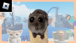 Roblox Find the Memes how to get quotSad Hamsterquot badge [upl. by Hizar302]