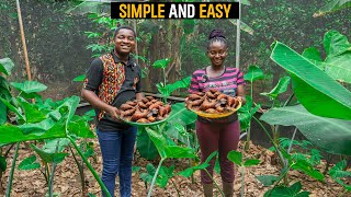 How To Start A Successful GREENHOUSE SNAIL FARM as a BEGINNER in Ghana with LESS CAPITAL snail [upl. by Norreht]