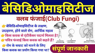 बेसिडिओमाइसीट्स Basidiomycetes  basidiomycetes fungi examples characteristics diseases diagram [upl. by Annahoj]