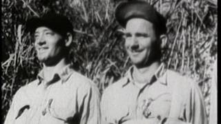 quotThe Coast Watchersquot  Guadalcanal 1942 Part 2 of 2 [upl. by Erida261]