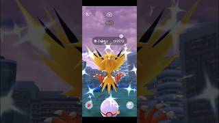 Finally Shiny Zapdos  Pokemon go Raids June  Pokemon go  pokemongo raid shorts [upl. by Selym]