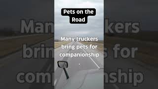 Ask A Trucker  Pets on the Road cdldriver truckdrivers facts thehelpfultrucker truckdriver [upl. by Nnaylime880]