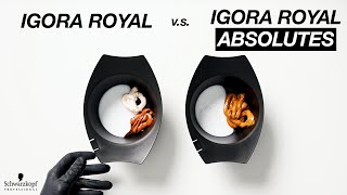 Comparing Igora Hair Products  IGORA ROYAL ABSOLUTES vs IGORA ROYAL Is there a difference [upl. by Akimed501]