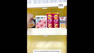 SIV 4050cm Gap Storage Organizer Magnetic Door Foldable Storage Cabinet Installation Video [upl. by Reinold487]