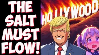 Hollywood election MELTDOWN Celebrities REACT to Trump win and vow to SELF DELETE [upl. by Enirol]