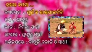 Tor bayasa sulasatara santanu sahu sambalpuri video song super hit kohli old odia album [upl. by Howlend]