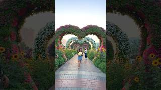 Dubai🇦🇪Miracle Garden 😍 trending minivlog viralvideo [upl. by Yenreit]