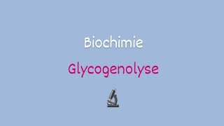 La glycogenolyse BIOCHIMIE Approfondie [upl. by Forland]