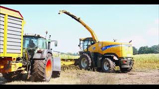 Mais Ernte 2018 Der Mais ist viel zu hoch aber kein Problem mit dem New Holland FR 9060 [upl. by Marice]