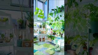 Indoor Plant Trends for 2024 [upl. by Franni39]