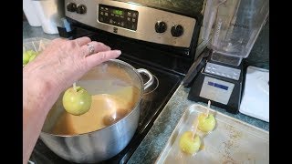 How To Make Cant Fail Caramel and Caramel Apples Other Uses For Apples [upl. by Anesor496]