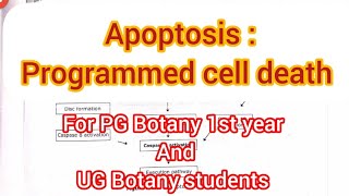 Apoptosis Programmed cell death botanysourcebotany cellbiologycsirnetlifescience cellbiology [upl. by Alodie]