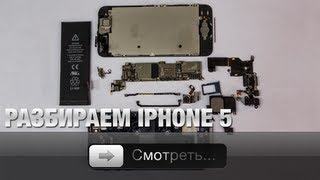 Разбираем iPhone 5 [upl. by Grishilde836]