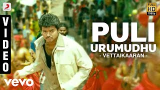 Vettaikaaran  Puli Urumudhu Video  Vijay [upl. by Novit453]