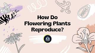 Flower Structures and Functions  Pollination  Fertilization  Reproduction in Flowering Plants [upl. by Ilaw]