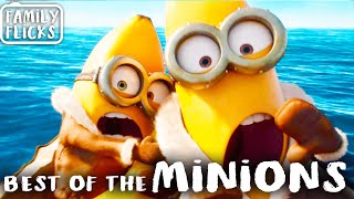 The ULTIMATE Best Of The Minions  Minions 2015 amp Despicable Me 2010  Family Flicks [upl. by Nosyk]