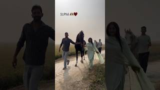 Ghode bomb hi lyana punjabi song punjabisong newsong music horse ghodeyanwale horselover [upl. by Chilson]