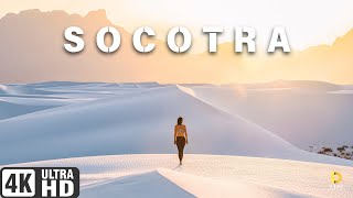 Socotra Island Yemen  Step Into Another World  4K Cinematic [upl. by Eilrac]