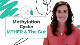 Methylation Cycle MTHFR And The Gut [upl. by Bab]