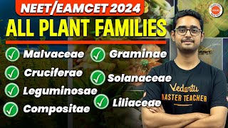 Plant Families1  Malvaceae Cruciferae Leguminoceae Solanaceae  NEETEAMCET 2024  Ajay Sir [upl. by Fachanan]