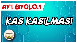 AYT Biyoloji  Kas Kasılması sayfa58 [upl. by Sheffield]