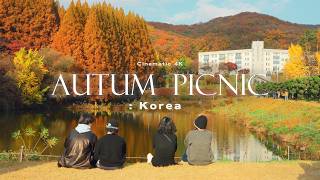 4K Korea Autumn Jazz Cinematic Playlist [upl. by Berns]