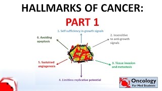 4 Hallmarks of Cancer part 1 [upl. by Huoh]