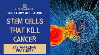 Stem cells that kill cancer What is that fantastic feature Perforin Granzyme [upl. by Gamal]