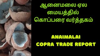 ஆனைமலை ஏல மையத்தில் கொப்பரை வர்த்தகம்  Copra Trade At Anaimalai Near Pollachi  Coconut Oil Makers [upl. by Akeem]