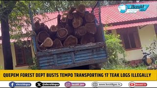 Quepem Forest Dept busts tempo transporting 17 teak logs illegally [upl. by Birkner]