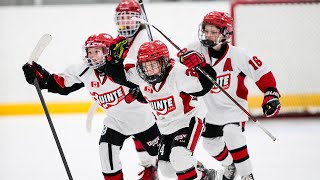 2024 OMHA Championships U10 AAA OT Semis Winner [upl. by Urson407]