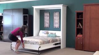 Wall Beds Murphy Wall Beds San Diego 1 [upl. by Joye973]